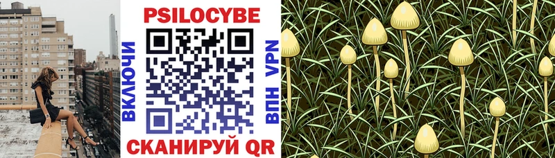 Псилоцибиновые грибы ЛСД  Бийск 