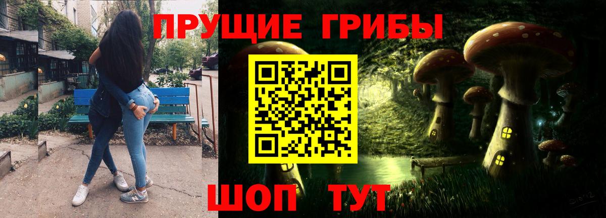 Псилоцибиновые грибы Psilocybine cubensis Бийск